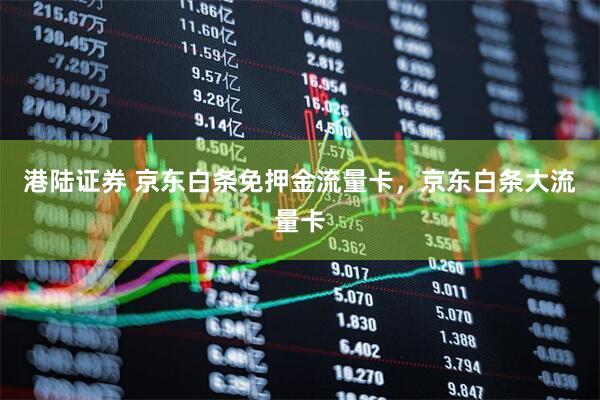 港陆证券 京东白条免押金流量卡，京东白条大流量卡