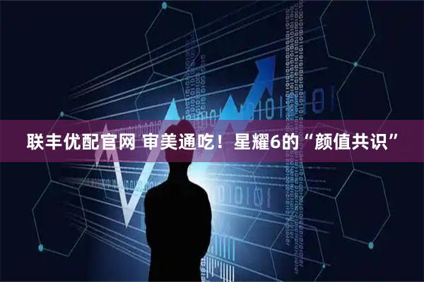 联丰优配官网 审美通吃！星耀6的“颜值共识”