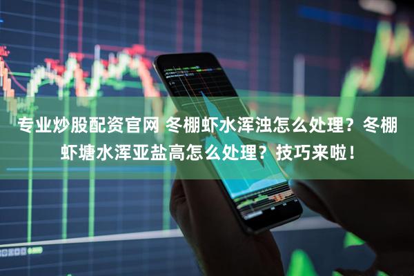 专业炒股配资官网 冬棚虾水浑浊怎么处理？冬棚虾塘水浑亚盐高怎么处理？技巧来啦！